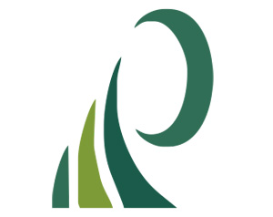 prudential auditing logo